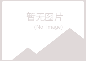 武山县雪枫化学有限公司